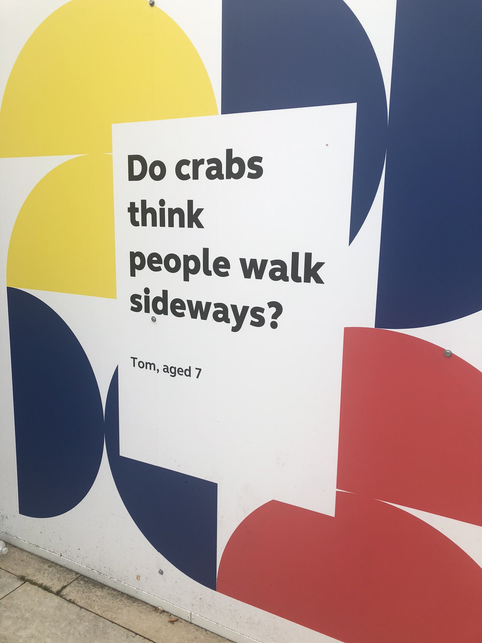 A poster with the question Do crabs think people walk sideways ? asked by Tom, aged 7